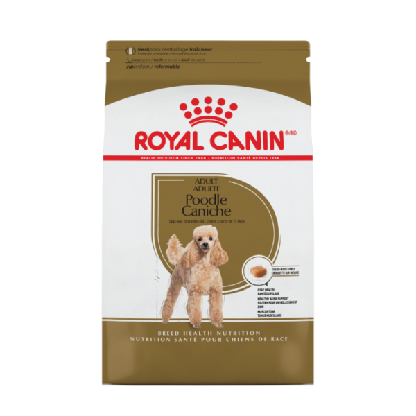 Royal Canin Poodle Caniche Adult