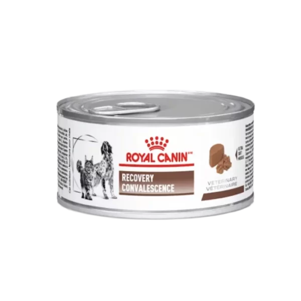 Royal Canin Recovery Convalescence alimento húmedo para recuperación
