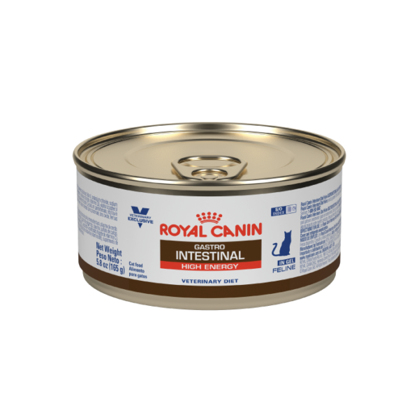 Royal Canin Gastrointestinal High Energy Feline