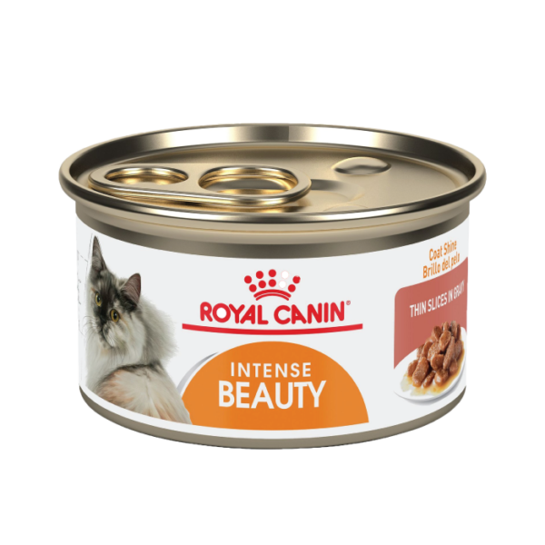 Royal Canin Intense Beauty Thin Slices in Gravy